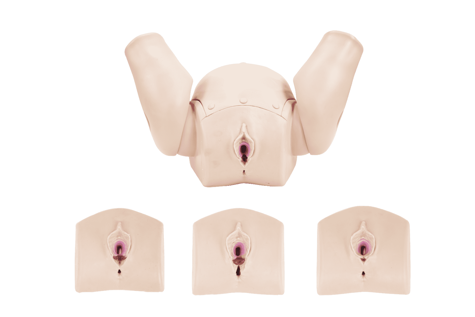 Complete Perineal Repair Simulator